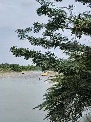 The video shows a wide, slow-moving river under a cloudy sky. The river banks are covered in light-colored pebbles and some vegetation. In the distance, two yellow trucks are partially submerged in the river. There are people near the trucks, appearing to be working or inspecting them. A tree with green leaves partially obscures the view on the right side of the frame. The camera pans slightly from right to left, showing more of the river bank and the vegetation lining it.