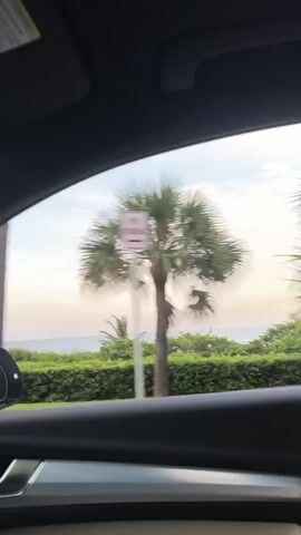 The video displays a view from inside a vehicle looking out a window. Outside the window, a "NO PARKING" sign is visible, with an arrow pointing to the left. Palm trees and other vegetation are present, and in the background, the ocean can be seen. The sky is overcast with soft clouds. The vehicle appears to be moving slowly, causing the scenery to shift.