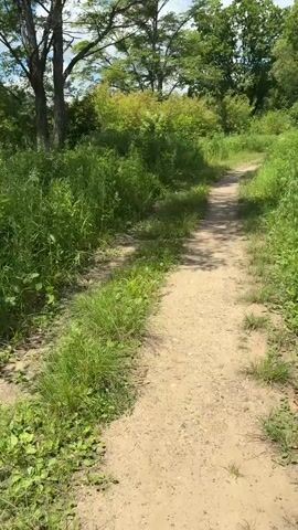 The video shows a dirt path winding through a wooded area. Tall green grass and trees line the path, with some dappled sunlight filtering through the leaves. The path appears to be relatively clear of people, with only the sounds of nature audible. The overall scene is peaceful and natural, suggesting a tranquil outdoor setting.