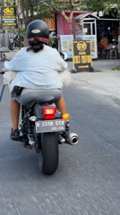 Motorcycle ride through North Kuta with a small white dog passenger