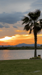 Sunset ducks and family moment captured at Fethiye Bay