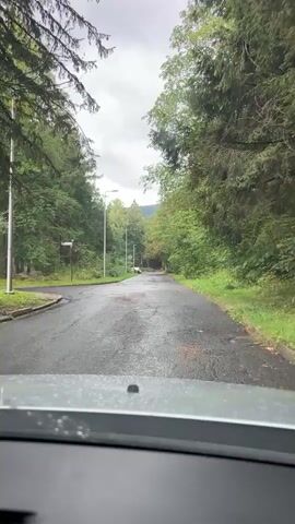 The video shows a view from inside a car driving on a wet, paved road through a forest. Tall trees line both sides of the road, with some foliage visible on the ground. The sky is overcast. There are streetlights visible along the road. In the distance, a couple of cars can be seen. The camera is positioned in a way that suggests the vehicle is moving forward.