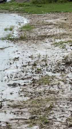 Muddy water discharge from concrete structure observed in Chernushka
