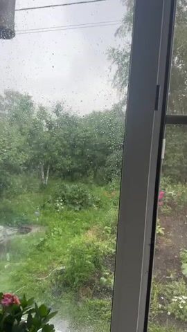 The video shows a view through a window onto a garden area during a rain shower. Raindrops are visible on the windowpane. The garden outside is lush with green foliage and some flowering plants, including pink and white flowers. Trees form a dense backdrop. The weather appears overcast and damp.