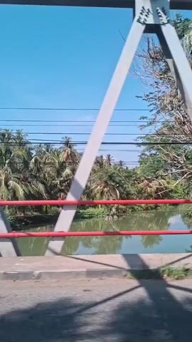 The video shows a view from a moving vehicle crossing a bridge. The bridge has white triangular supports and red railings. Below the bridge, there is a body of water, likely a river, with green vegetation and palm trees lining its banks. Power lines are visible in the sky. The weather appears to be clear and sunny.