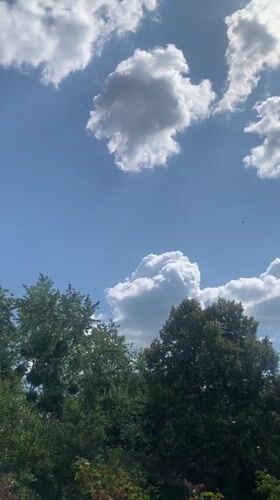 Summer morning in Kaniv: sky views and a TV remote