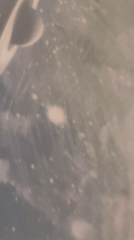 Sofia resident documents Saturn-themed snowboard and classical guitar closeups