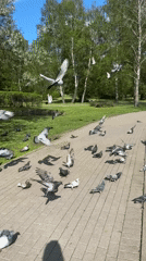 Spring afternoon documented in Minsk parks and public spaces