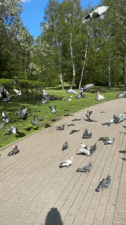 Spring afternoon documented in Minsk parks and public spaces