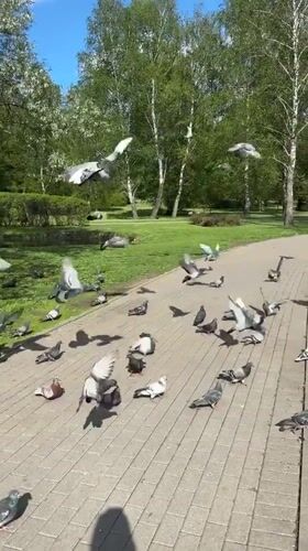 Spring afternoon documented in Minsk parks and public spaces