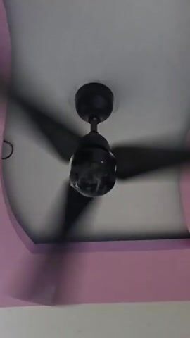 A ceiling fan with three blades is spinning at a high speed. The fan is dark colored and is attached to the ceiling. The ceiling appears to be white and has a pink border. The image is slightly blurry due to the movement of the fan blades.
