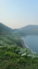 Coastal morning scene captured near Đà Nẵng, Vietnam