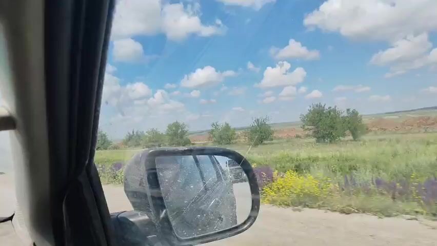 The video shows a view from inside a vehicle, looking out the side window and the side mirror. The vehicle appears to be on a dirt road or a road with a dusty surface. On the right side of the road, there is green grass and some purple and yellow wildflowers. Further in the background, there are trees and fields that appear to be cultivated or fallow. The sky is blue with scattered white clouds. In the side mirror, another vehicle, possibly a truck or SUV, is visible in reflection. The interior of the vehicle shows a part of the car's door panel and a handle. The camera is moving, indicating the vehicle is in motion.