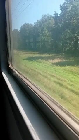 A video captured from inside a moving train, looking out the window. The window frame is visible on the left, with a bright light casting a shadow. Outside the window, a blurry green landscape of grass and trees rushes by under a clear blue sky. In the distance, a row of what appear to be buildings or structures with circular openings are visible amongst the trees. The motion of the train creates a sense of speed and movement.