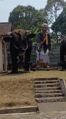 Elaborate roadside effigies and sculptures line the streets of Karangwuni