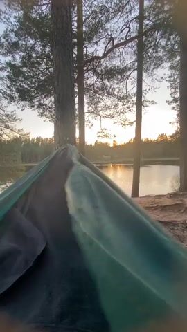 The video shows a view from inside a green hammock. The hammock is strung between trees, overlooking a calm lake. The sun is setting, casting a golden glow over the water and surrounding trees. There is no one visible in the video, but the movement inside the hammock indicates someone may be present. The environment is a forest with tall pine trees lining the lake.