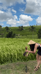Rural life documented in Penebel rice terrace region