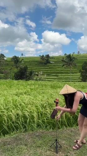 Rural life documented in Penebel rice terrace region