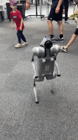 Quadruped robots and a live dog meet at Panyu tech exhibition