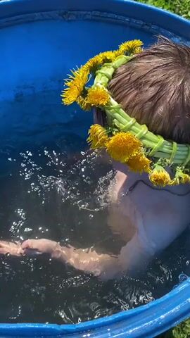 The video shows a child in a blue plastic barrel full of water, outdoors on a sunny day. The child is wearing a wreath made of dandelions. The camera circles the barrel, showing more of the surrounding area. The yard includes grass and bare dirt. In the background are old wooden buildings. The child is laughing.
