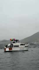 Harbor life documented in Ancón, Peru during overcast afternoon