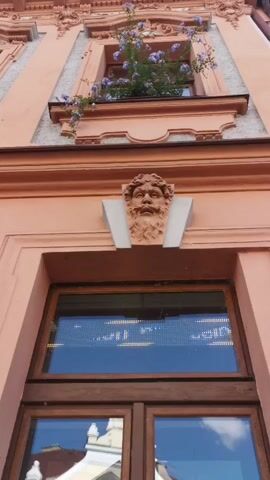 The video shows a close-up, upward view of the facade of a building. The building is painted a peachy-pink color and features ornate architectural details, including decorative moldings and a sculpted face above a window. The sculpted face has a beard and appears to be a grotesque or decorative element. Above this face is a window box filled with green plants and small purple flowers, some of which spill over the edge. Below the sculpted face is a large window with wooden framing. Inside this window, a digital display shows a line of text, possibly an advertisement or announcement, in blue lettering against a black background. The text is blurry and difficult to read clearly. The bottom of the video shows the top of another window with wooden framing, reflecting the sky and buildings across the street. The overall impression is one of a historical or traditional building with some modern elements incorporated.