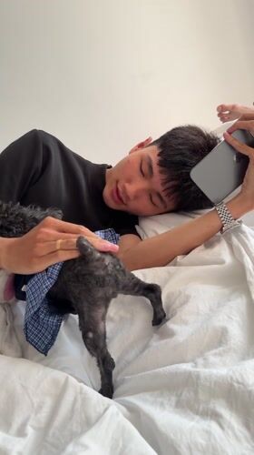 Man and dressed dog rest indoors in Quy Nhon
