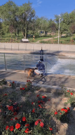 Wet riverside path and park life in Almaty