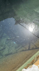 Morning visit to Perm park captures ponds, aviaries, decorative displays