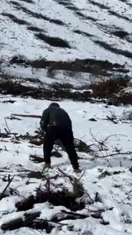Two people, clad in black hooded jackets and dark pants, stand in a snow-covered landscape littered with cut branches. One person is notably barefoot. They are on a gentle slope, with a hillside marked by parallel lines of trees visible in the background. A winding dirt road is partially visible in the middle distance. The two people move around and appear to interact.