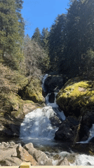 Waterfall documented in Bulgarian forest near Bistritsa