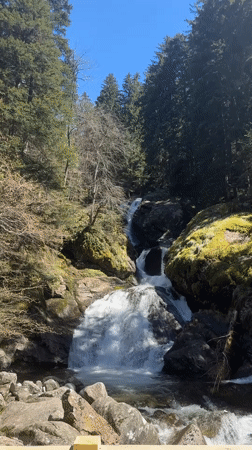 Waterfall documented in Bulgarian forest near Bistritsa