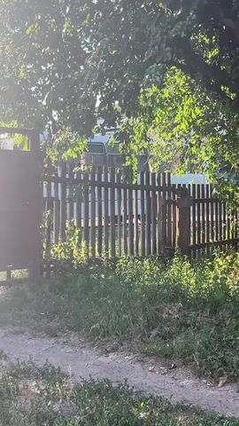 This media file depicts an outdoor scene in what appears to be a rural or semi-rural setting. In the foreground, there is a dirt path lined with overgrown green grass and weeds. Beyond the path, a wooden fence runs horizontally across the frame. The fence is constructed of vertical wooden planks and appears weathered. Through the gaps in the fence, a light-colored vehicle, possibly a van or SUV, is partially visible. Above the fence, the lush green foliage of trees casts dappled shadows across the scene, indicating a sunny day. The sunlight filtering through the leaves suggests it is either morning or late afternoon. A dark wooden gate is situated on the left side of the fence. The overall impression is one of a quiet, everyday moment in a village or countryside environment. No people are visible, and no text is present in the frame. The time of day appears to be daytime, with bright sunlight. The weather seems fair and sunny.