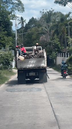 Workers transport scaffolding materials by truck in Ko Samui