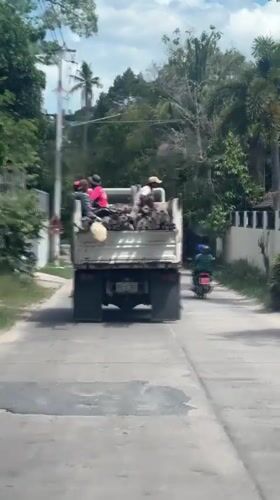 Workers transport scaffolding materials by truck in Ko Samui