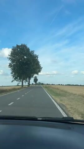 The video is filmed from inside a car driving on a paved road through a rural landscape. The road is asphalt with white dashed lines indicating lanes. On the left side of the road, there are trees, including a large, full tree in the foreground. Beyond the trees, fields of dry grass or crops are visible. On the right side of the road, there are also fields and some white road markers. In the distance, there are more trees and what appears to be a church steeple. The sky is blue with scattered white clouds and some faint contrails. The camera angle suggests the video is being recorded from the front windshield. The timecode indicates the video is approximately 4 seconds long.
