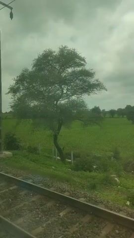 The video captures a view from a moving train. The train tracks are visible in the foreground, with gravel and ballast. On the right side of the tracks, there is a grassy embankment. Beyond the embankment, there is a lush green field under a cloudy sky. Several tall, grey poles, likely utility poles, are positioned along the side of the tracks, with wires extending from them. There are also trees and bushes scattered throughout the landscape. The overall impression is that of a rural or semi-rural environment. The camera appears to be looking out of a train window, suggesting the footage was taken during a journey. There are no people visible in the frame.