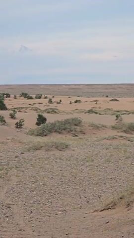 The video pans across a desert landscape. In the foreground, there are patches of dry grass and pebbles. Further back, there are sand dunes with sparse, hardy vegetation. In the middle ground, there is a white sign with some text and symbols. One symbol depicts an axe with a cross through it. Another symbol shows a person urinating with a cross through it. A third symbol depicts a person discarding trash with a cross through it. The final symbol shows a car driving off-road with a cross through it. The background is a vast expanse of desert stretching to the horizon under a cloudy sky.