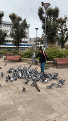 Evening life documented across Valdivia, Chile city center