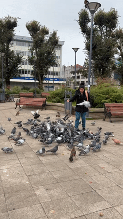 Evening life documented across Valdivia, Chile city center