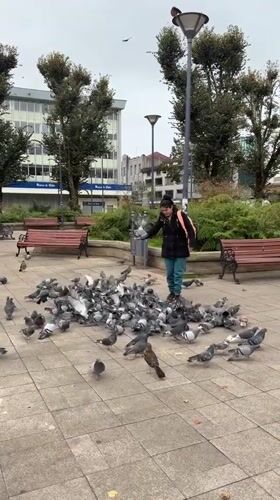 Evening life documented across Valdivia, Chile city center