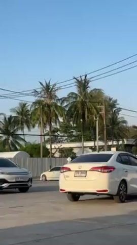 The video shows a street scene with three cars parked in a row. The car closest to the camera is white and has its taillights visible. The middle car is also white, and the car furthest from the camera is silver. Palm trees and power lines can be seen in the background. The sky is blue and sunny.