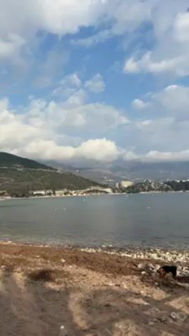 The video shows a pebble beach on the edge of a body of water under a blue sky with scattered white clouds. In the background are green hills and buildings, with mountains visible further in the distance, partially obscured by clouds. In the foreground, at the edge of the beach, is a brown and black dog. The water is calm and grey. The camera is static.