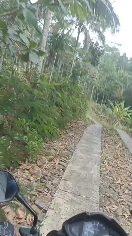 A first-person perspective video shows a person riding a motorcycle on a narrow, unpaved road through a lush, green environment. The road is flanked by dense vegetation, including trees and bushes. The path appears to be a mix of dirt and concrete sections. The rider's hands and part of the motorcycle's handlebars and dashboard are visible in the foreground. The scene suggests a rural or natural setting, possibly a jungle or forest, with the rider moving forward along the winding road. The sky is overcast, and the lighting is subdued, indicating it might be early morning, late afternoon, or a cloudy day.