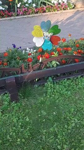 A colorful pinwheel with heart-shaped blades sits in front of a flower bed of orange and red marigolds. A small fence, made of dark brown, distressed metal, runs horizontally across the middle of the frame, partially obscuring the flowers and pinwheel. To the left of the fence, a patch of green grass and some weeds are visible. Behind the flower bed, a paved walkway and a border of pink and white flowers can be seen. The pinwheel has a butterfly decoration in the center. The scene appears to be outdoors on a sunny day.