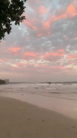 The video shows a beach scene at dusk. The sky is filled with pink and gray clouds, and the sun is setting. The waves are crashing on the shore, and there is a calm sea. A few dark objects can be seen in the distance, possibly buildings or rocks. A single bird flies across the sky in the third frame. The foreground of the image is a sandy beach. The lighting suggests it is either dawn or dusk.