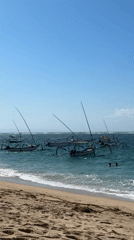Traditional outrigger boats observed at sunny coastal location