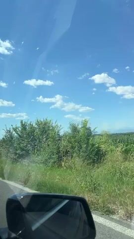 This is a first-person perspective video taken from a moving vehicle. The sky is bright blue with scattered white clouds. The road is visible in the foreground, and to the right, there is a white and red road marker. Beyond the road, there are fields of green crops, possibly corn, and various trees and bushes. The scenery suggests a rural or agricultural area on a sunny day.