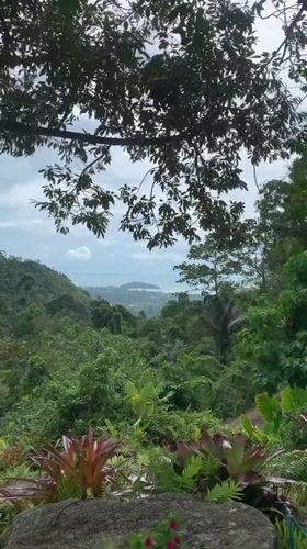 Morning tropical vista captured from elevated Ko Samui viewpoint