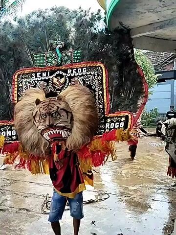 The video shows a person wearing a large, elaborate costume, possibly part of a traditional performance. The costume features a tiger head with a menacing expression, surrounded by a mane of fur and colorful tassels. Above the tiger head is a decorative panel with peacock feathers and the words "SENI REOG" on it. In the background, other people can be seen, some dressed in traditional clothing, suggesting a cultural event or performance. The ground appears to be wet and paved, indicating an outdoor setting, possibly after rain. The camera moves around the person in the costume, providing different views of the elaborate design. The overall atmosphere is festive and cultural.